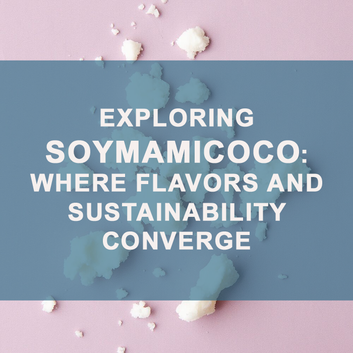 Exploring Soymamicoco Where Flavors and Sustainability Converge
