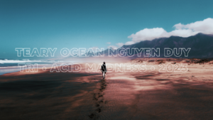 teary ocean nguyen duy tri • acid madness • 2023